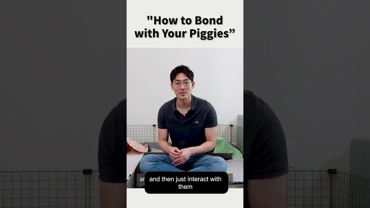 "How to Bond with Your Piggies”