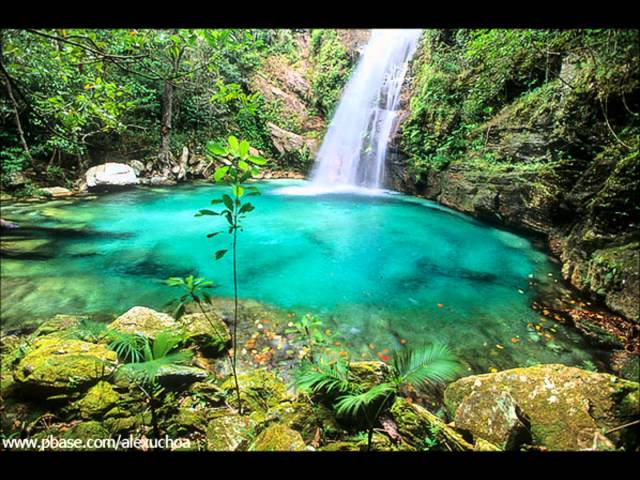 CEZAR E PAULINHO - ENCANTOS DA NATUREZA