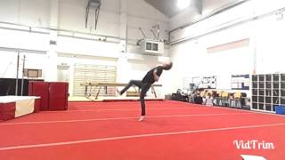 Basics - Logan Wingate Tricking