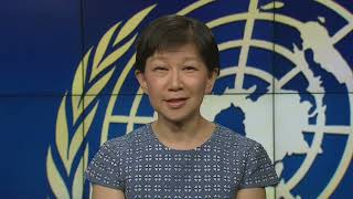 Group of Governmental Experts on Lethal Autonomous Weapon Systems | UN Disarmament Chief (2021)