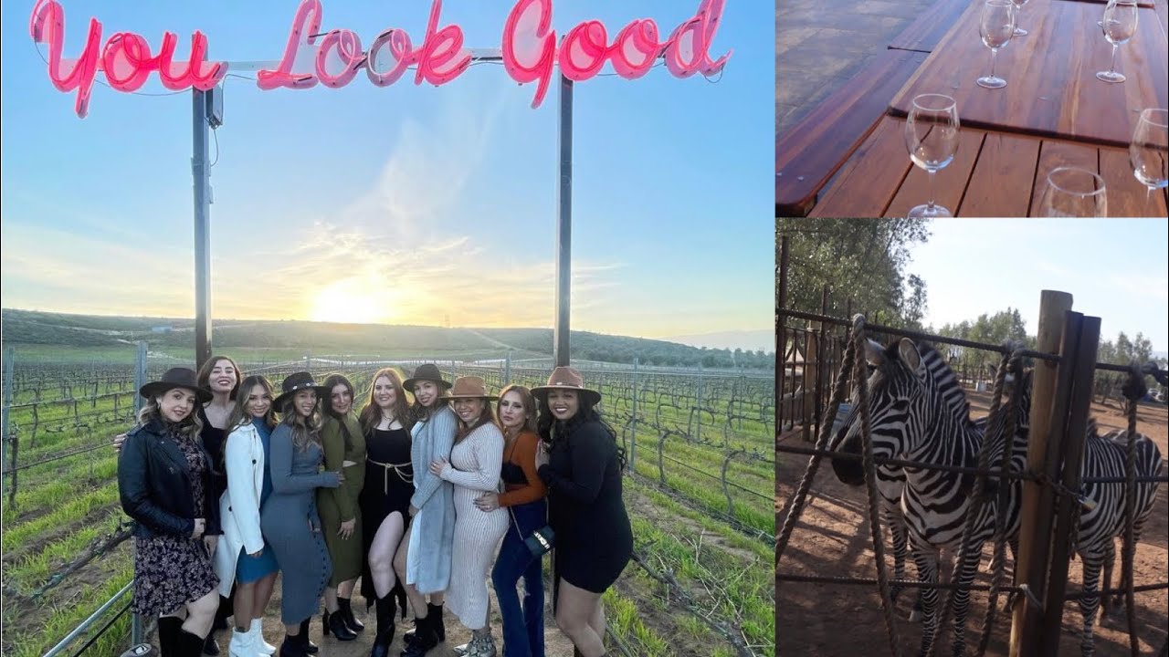 WINE TASTING WEEKEND GETAWAY YouTube