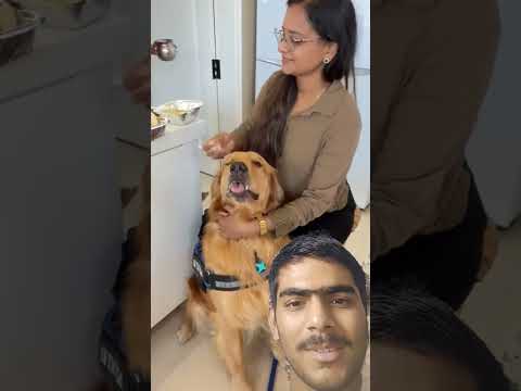 daal chawal khane hi toh aaye the #reactionvideo #shorts @AnantRastogi @VinayMathur01