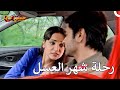رحلة رومانسية تجمع بين رودرا وبارو حبيبي دائما رحلة رومانسية تجمع بين رودرا وبارو حبيبي دائما