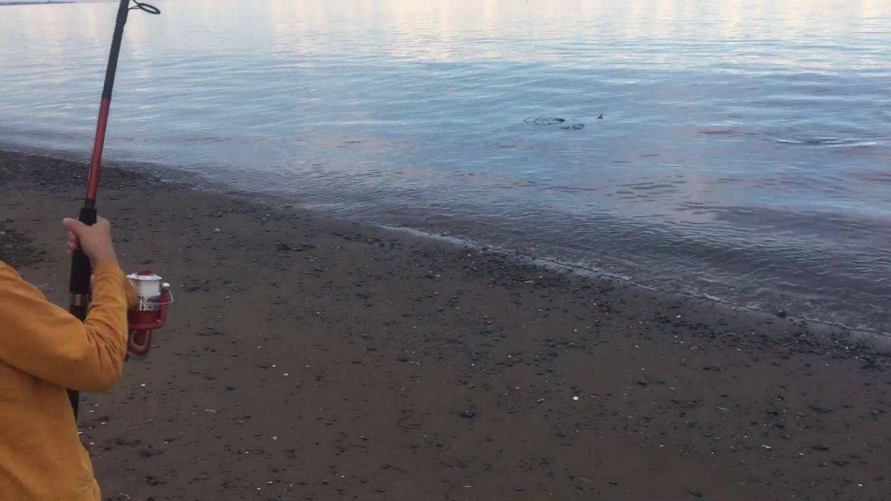 camera iphone 8 plus apk Zac lands a Striped Bass Beresford Beach
