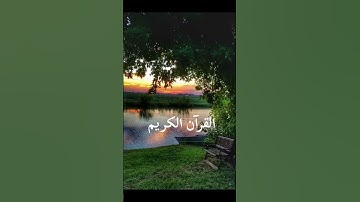 القرآن الكريم the holy Quran #allah #explore #holyquran #اكسبلور #الرحمن #المصحف #دويتو #fypシ゚viral