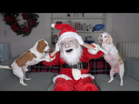 Video: Si Duhet Të Duket Santa Claus