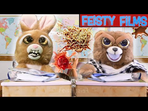 Feisty Pets vs. School Rules: Expelled!