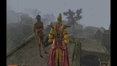 The elders scrolls 3: Morrowind Mudcrab merchant Tutorial