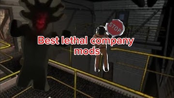 Best host only mod and client side mods for lethal company
