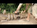 New way to make firewood stove with and clay - Amazing clay Crocodile &amp; Snake sculpting