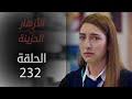 مسلسل الأزهار الحزينة الحلقة 232 الموسم الثاني 