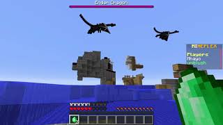 Minecraft Mineplex Dragons Matches Collection