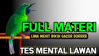 Masteran Dan Terapi Cucak Ijo Drop Mental,Birahi Melet \u0026 Macet Bunyi Dengar ini Auto Langsung Nyaut.