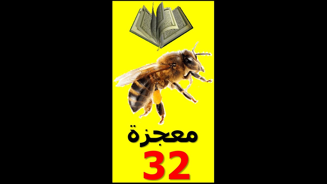 الله اكبر: معجزة 32 النحل