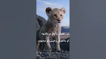 والسبع زهرتو واعره 