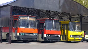 Икарус 256 по цене металлолома - забрали комплектный автобус Ikarus 256 из-под пресса