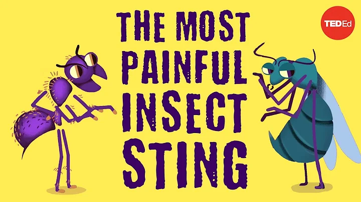The worlds most painful insect sting - Justin Schm...