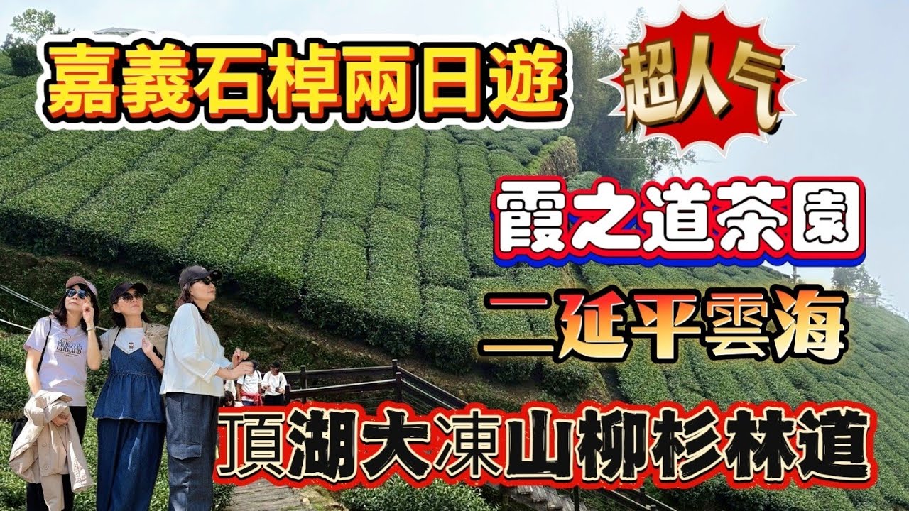 【嘉義  石棹】兩日之旅|走美麗的茶園霞之道|觀雲海夕陽二延平|賞大自然柳杉林道大涷山