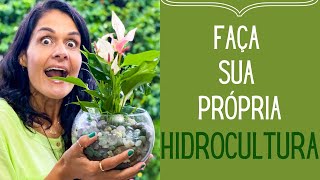 JARDINAGEM: Como fazer e cuidar de uma hidrocultura