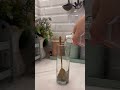 Lemovita🌱