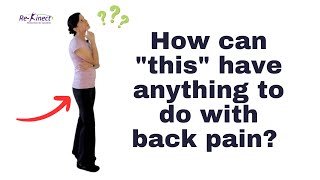 The Glute-Back Pain Connection What You Need To Know