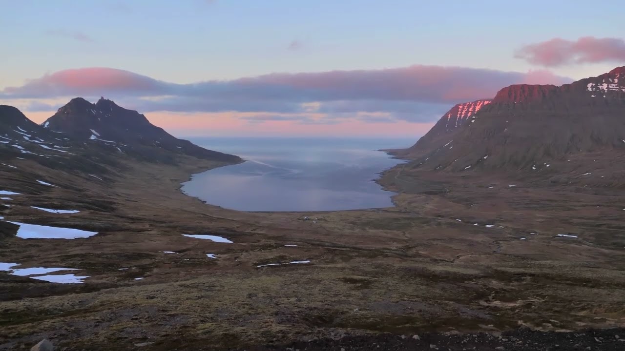 Schumann Scenes from Childhood 10 Almost Too Serious Strings Bird Common Heron Wings Beach Sand