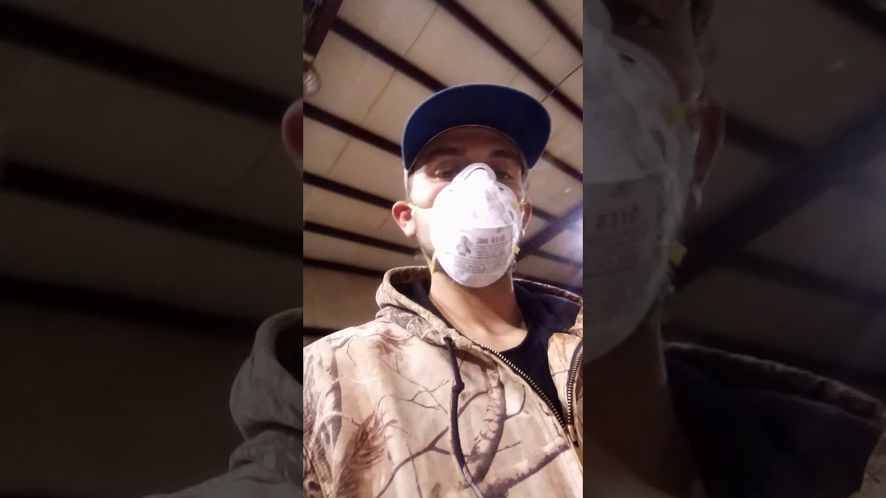 Saftley kill mold how to - YouTube