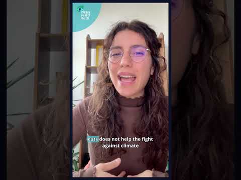 How can companies incorporate carbon removals into their climate strategies?