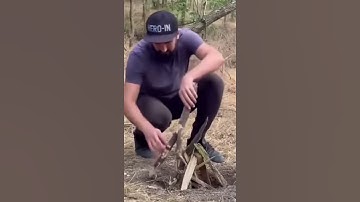#Building a Secret Treehouse in the Forest 🌲 | DIY Survival Shelter"