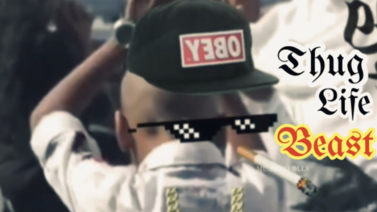 Beast public review-thug-life video😂 ||Small boy talk ||MC 360 Trolls || Tamil