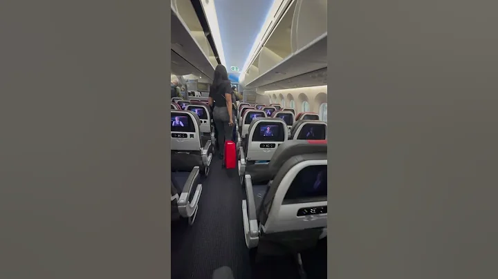 American Airlines Economy Class 787-9
