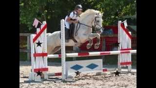 Merinos du Sambon ,CSO