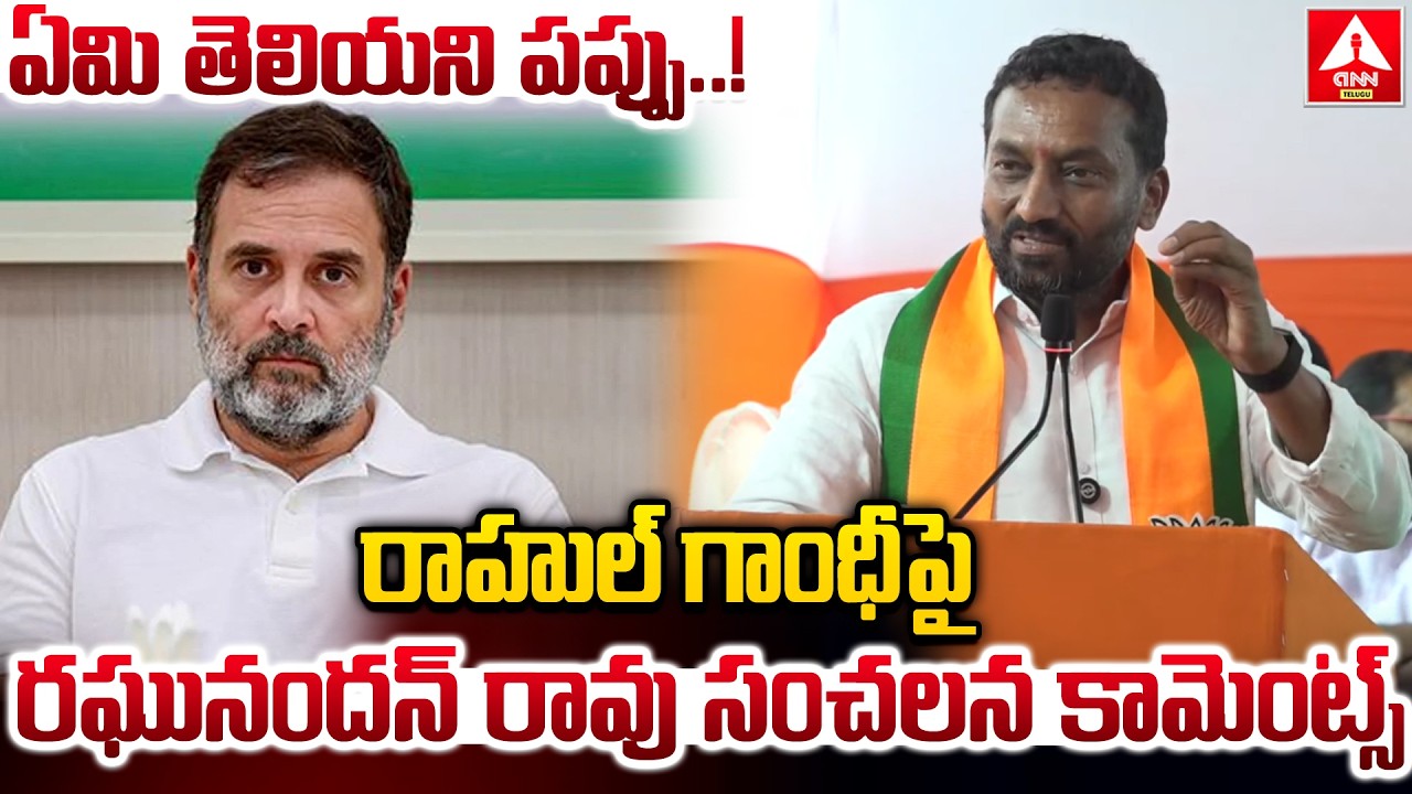 రాహుల్ గాంధీ పై రఘునందన్ రావు సంచలన కామెంట్స్ | MP Raghunandan Rao Hot Comments On Rahul Gandhi