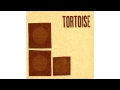 Capture de la vidéo Tortoise - Spiderwebbed
