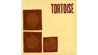 Tortoise - Spiderwebbed