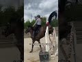 Toujours y croire  equitation cheval equestrian