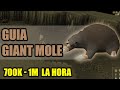 GIANT MOLE - LOW / MID BOSS -700K A 1M LA HORA (ESPAÑOL)