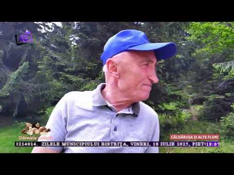 Dărnicia Naturii • Căldărușa și alte flori Dărnicia Naturii • Căldărușa și alte flori