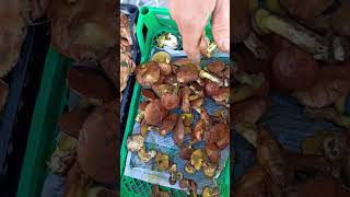 Разные лесные грибы на рынке