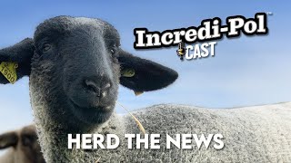 Incredi-Pol Cast - Episode 4: Herd The News