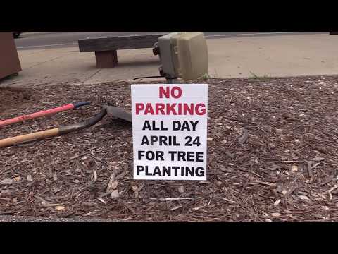 Smith Academy for Excellence Tree Planting Project