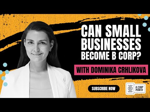 Can small businesses become B Corp? | With Dominika Crhlikova of The Colibrily Crew