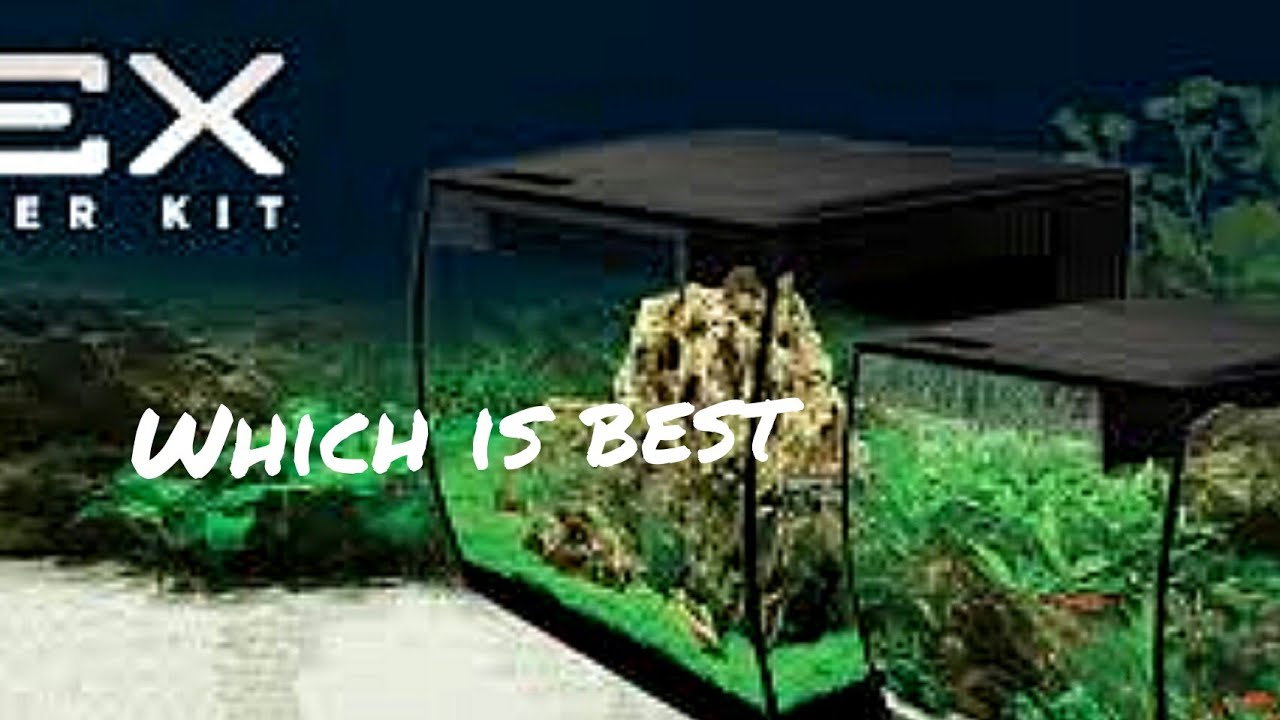 TOP 5 Aquarium Kits YouTube