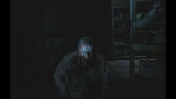Resident Evil 2 Remake First Person VR Mod with set up Guide