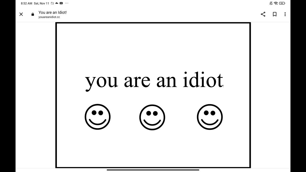 Youareanidiot.org – You are an idiot! song Lyrics