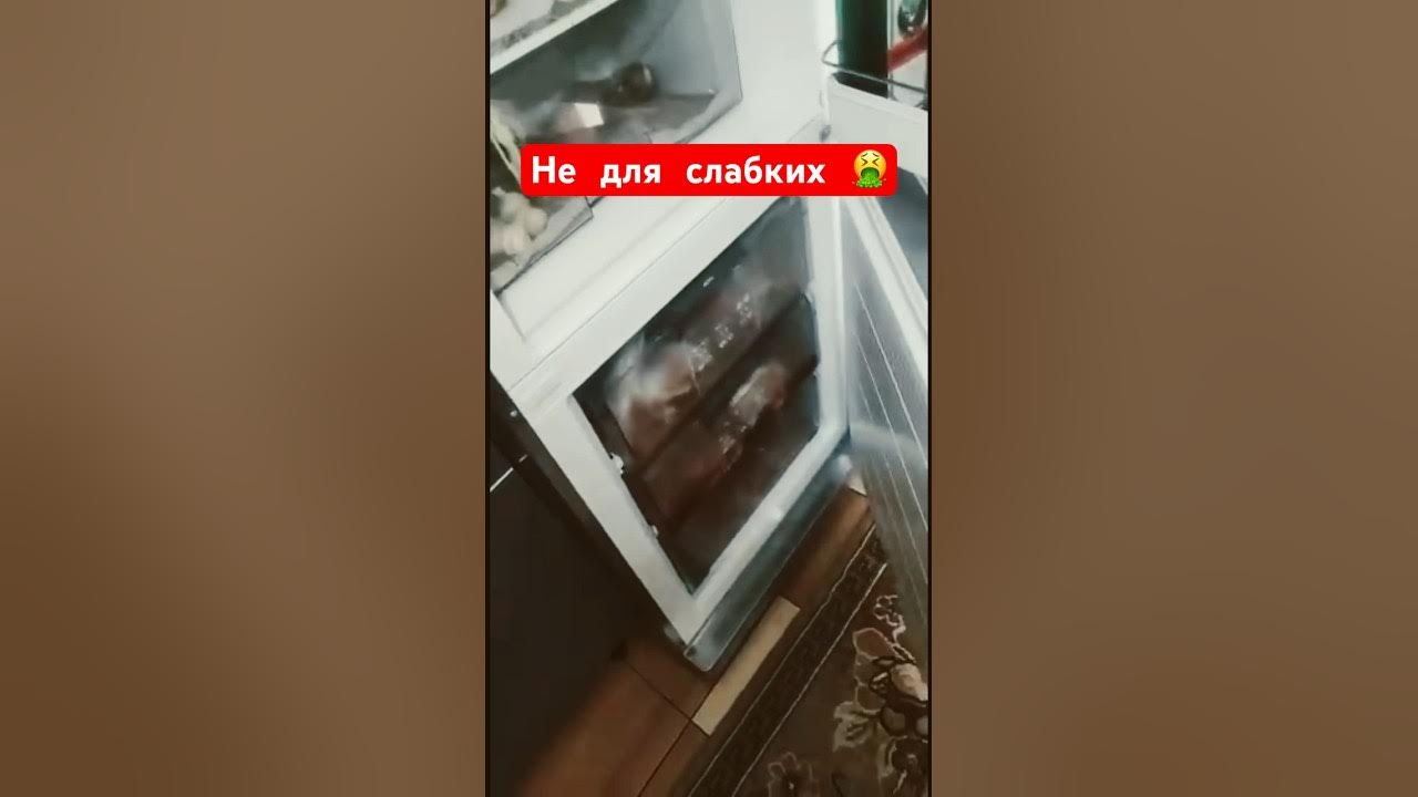 Сюрстремінг? 🤔ось це справді жесть🤮🤮🤮 #сюрстремінг #surstromming # ...