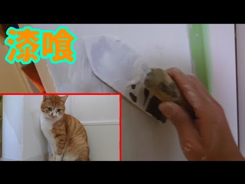 Diy 猫に破かれた壁紙を漆喰で簡単修理 Youtube