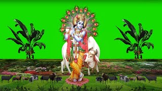 krishna Green Screen Video | krishna janmashtami video Background | Art By Harsh #krishna janmastami