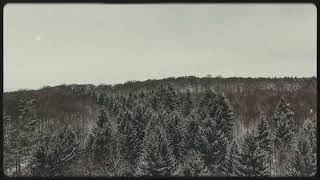 Düş Sokağı - Seni Kim Sever Benim Gibi Resimi