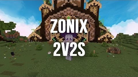 Zonix 2v2 Fun | Insane Combos!